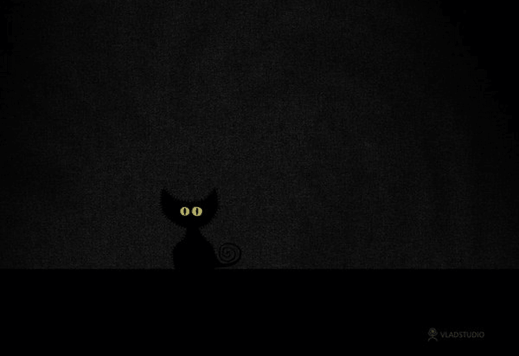 Black-Cat-in-Dark-Room Black-Cat-in-Dark-Room