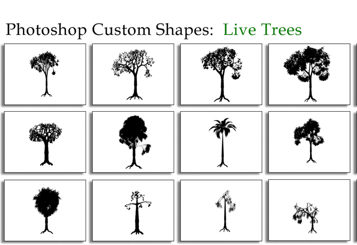 Live-Trees Live Trees