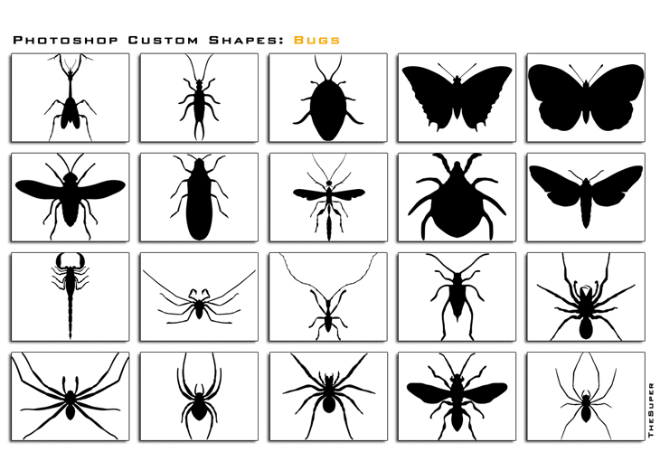 Photoshop-Custom-Shapes-Bugs Photoshop Custom Shapes Bugs