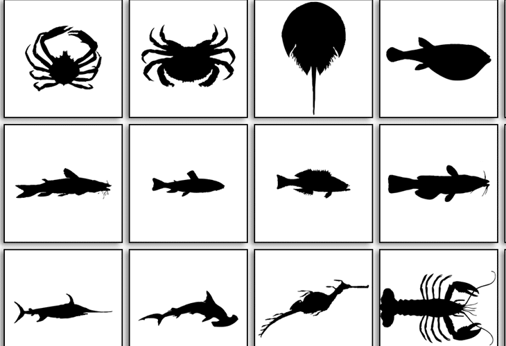 Sea-Creatures Sea Creatures