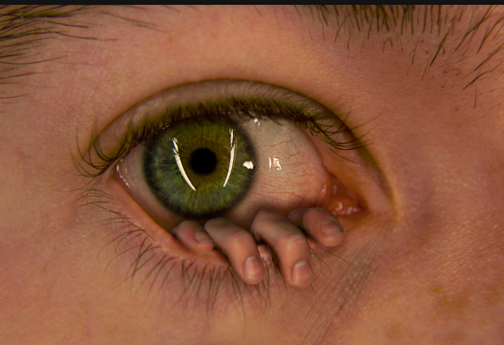 The-Eye The Eye