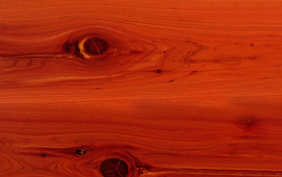 Cedar Wood Grain