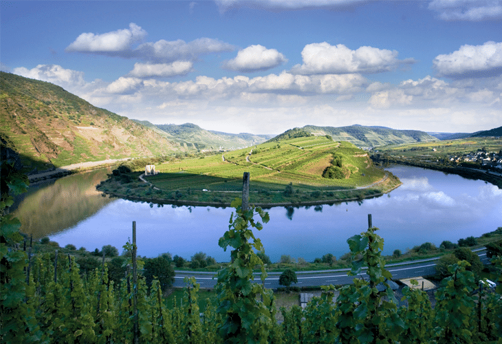 Moselle River Bow Windows 8 Wallpaper