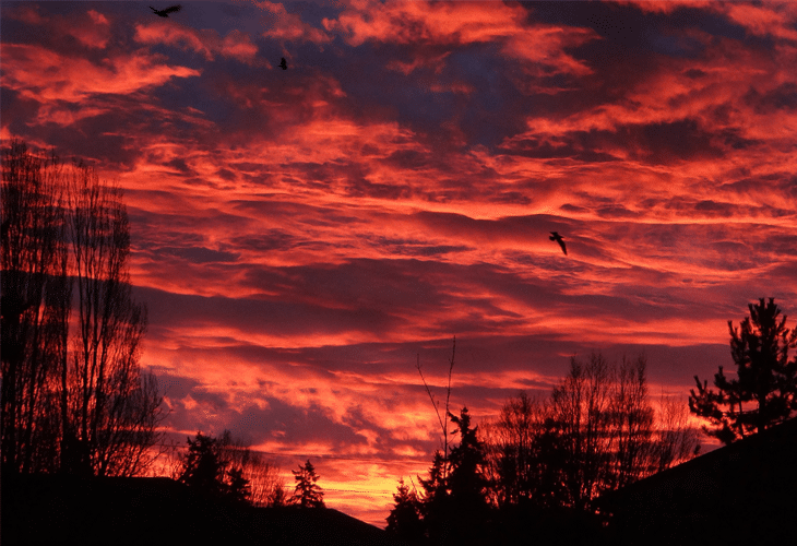 Red Sky at Dawn - Windows 8 Wallpaper