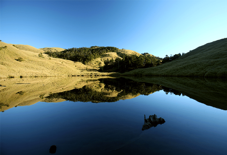 Reflecting Pond - Windows 8 Wallpaper