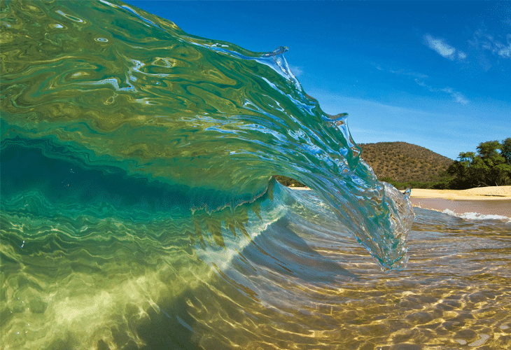 Shortbreak Curl - Windows 8 Wallpaper