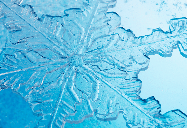 Snowflake - Windows 8 Wallpaper