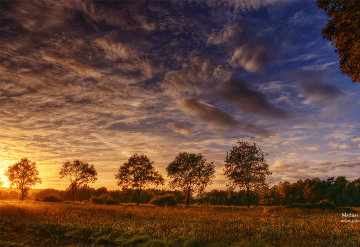 Sunset - Windows 8 Wallpaper