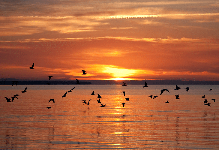 Sunset on the Water - Windows 8 Wallpaper