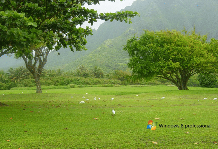 Windows 8 HD Wallpaper