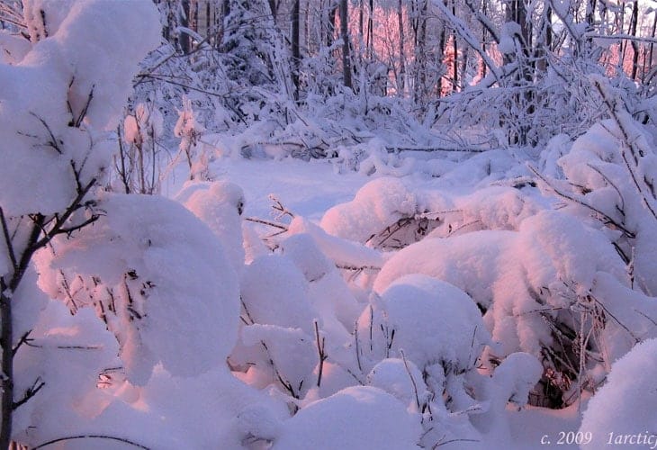 Alpinglow-Lights-The-Snow Alpinglow-Lights-The-Snow