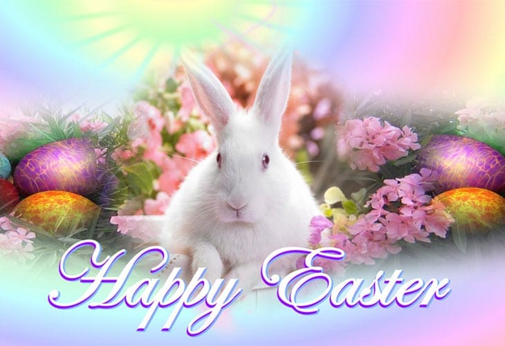 Happy-Easter-Bunny-HD-Wallpaper