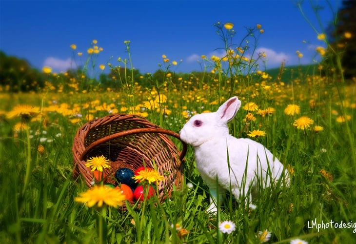 Happy-Easter-Wallpaper Happy-Easter-Wallpaper