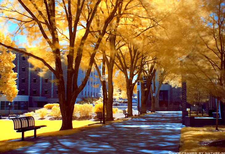 Infrared-Education Infrared-Education