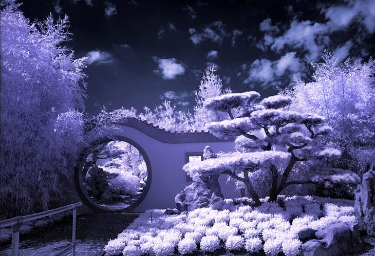 Moon-Gate-Infrared Moon-Gate-Infrared