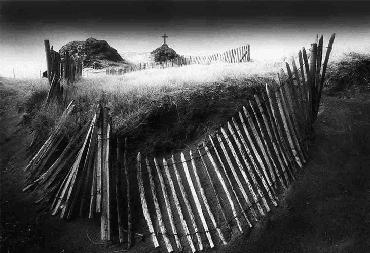 Nature Photography - Black and White
