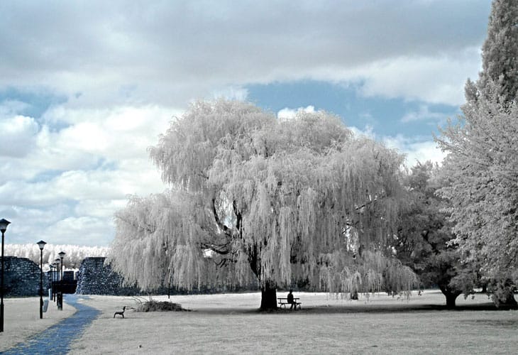 Serenity-in-Infrared Serenity-in-Infrared