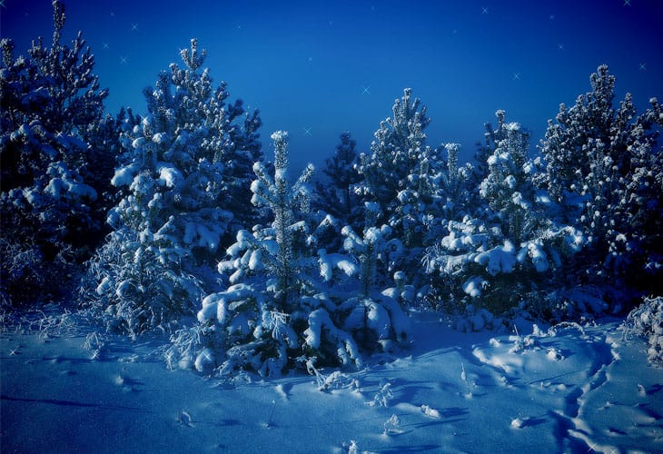 Siberian-Winter Siberian-Winter