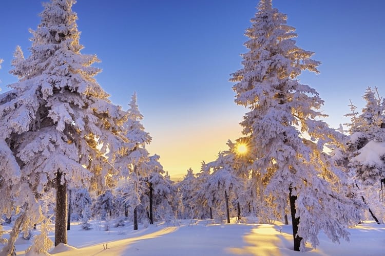 germany winter landscape wallpaper