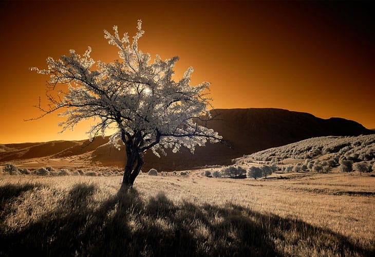 infrared-sunrise infrared-sunrise