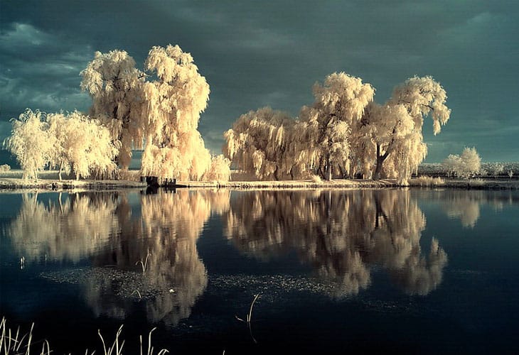 the-mirror-pool-infrared the-mirror-pool-infrared