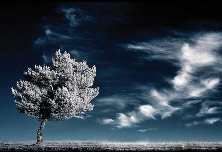 ultimate-sigh-infrared ultimate-sigh-infrared