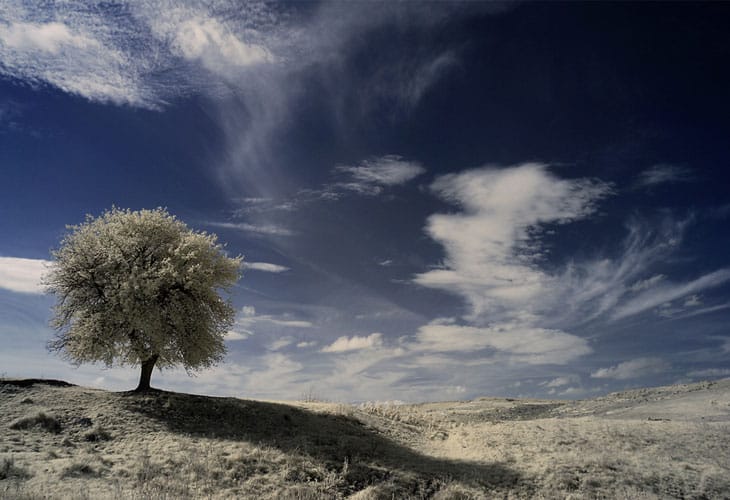 whispering-wind-infrared whispering-wind-infrared