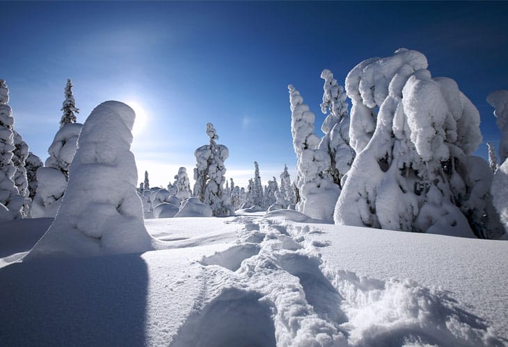 winter-in-finland winter-in-finland
