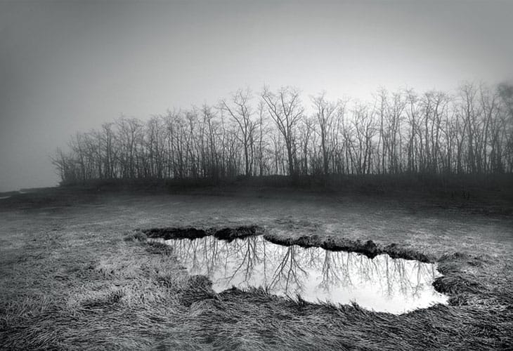 Landscapes Landscapes