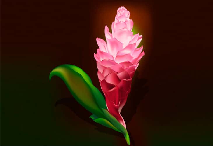 Gradient Mesh Flower Gradient-Mesh-Flower