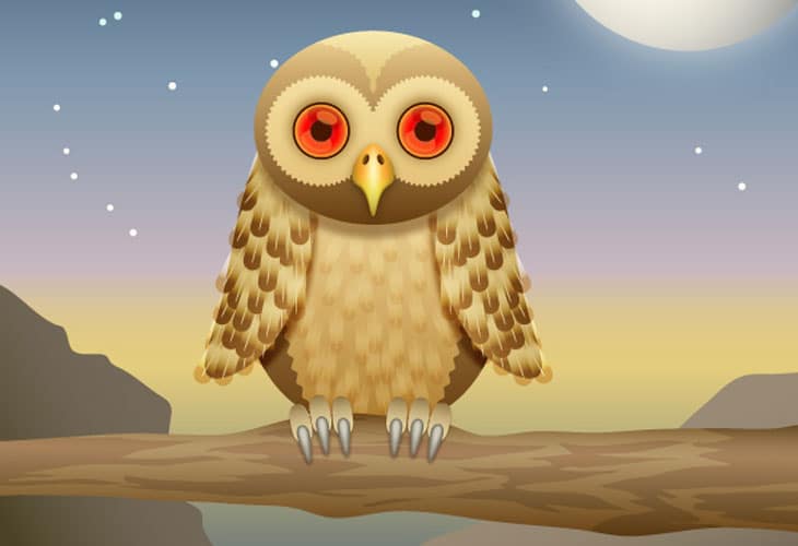 Owl Owl