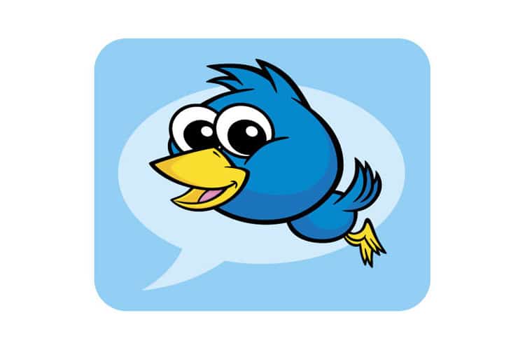 Twitter-Bird Twitter-Bird
