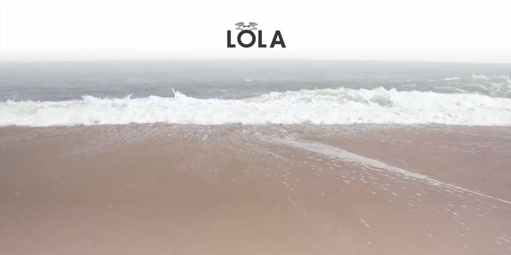 Lola New York