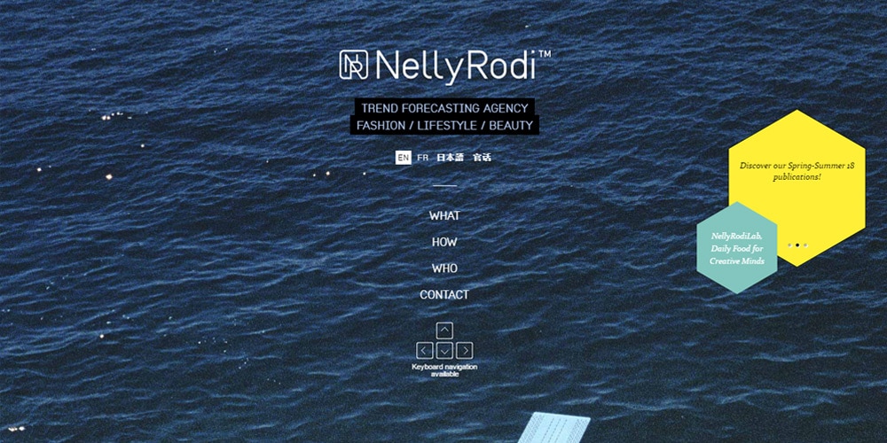 NellyRodi