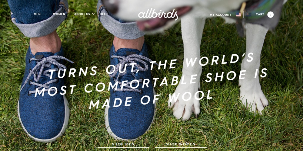 allbirds