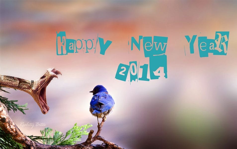 New Year 2014 Greetings HD wallpaper New Year 2014 Greetings HD wallpaper