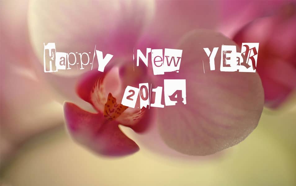 Pink Roses New Year 2014 HD Wallpaper Pink Roses New Year 2014 HD Wallpaper