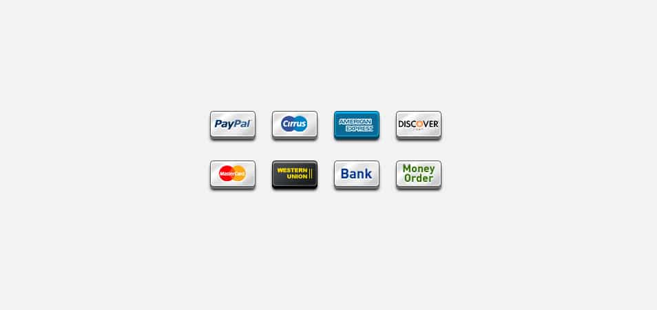 8 Popular payment icons