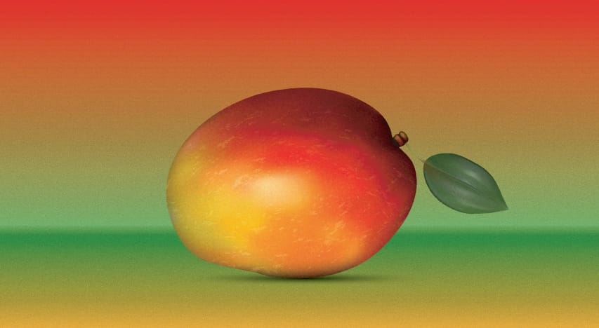   Realistic Mango  
