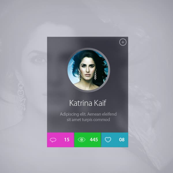 Celebrity-Profile-Widget