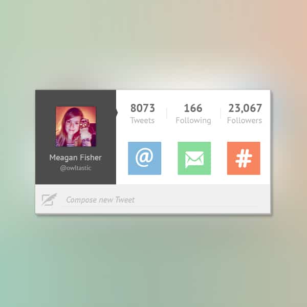 Twitter UI Widget