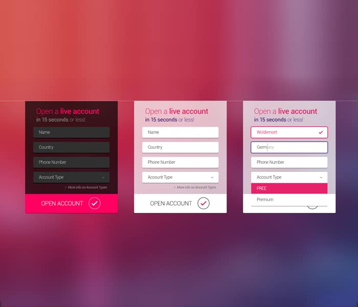 Web-Form-Widget