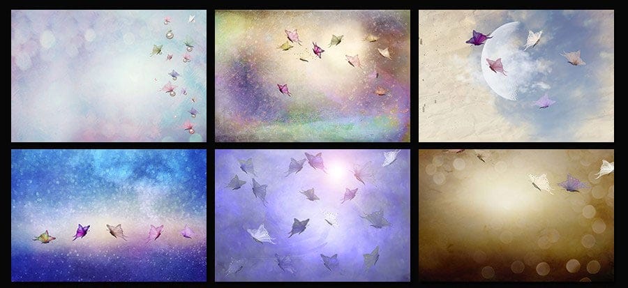 Free-Butterfly-Textures