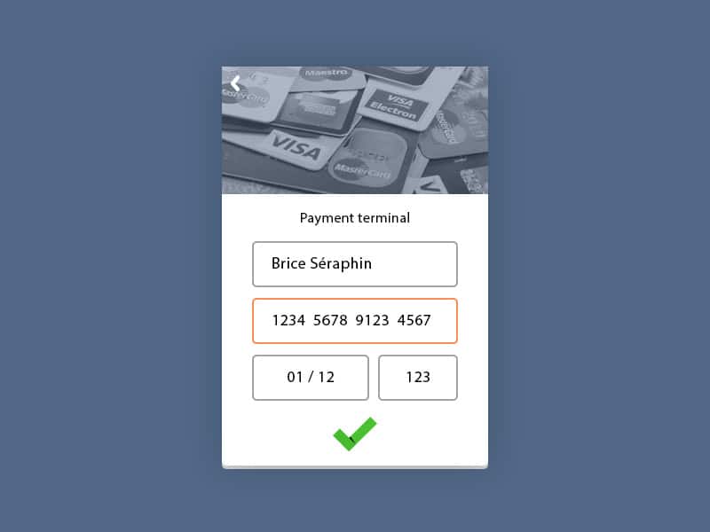 Payment Terminal PSD