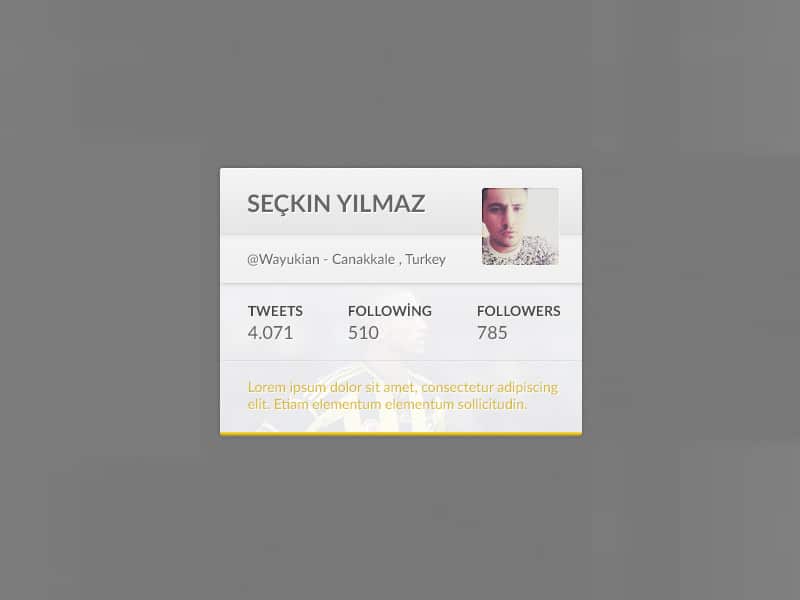 Twitter Widget PSD