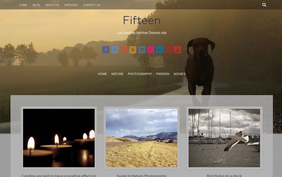 Fifteen Free Photography WordPress Theme