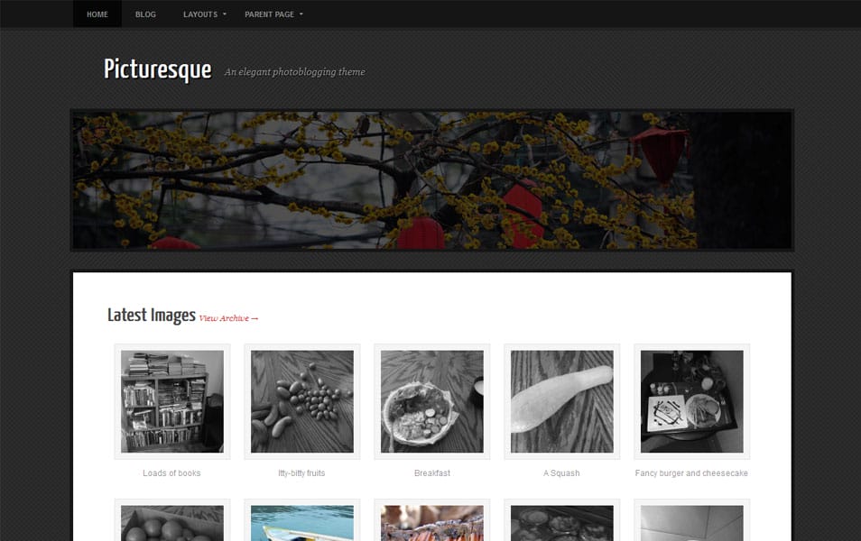 Picturesque Free Photography WordPress Theme