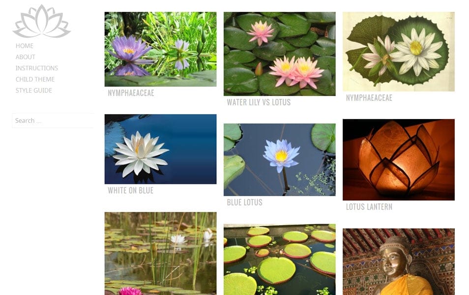 Water Lily Free Photography WordPress Theme
