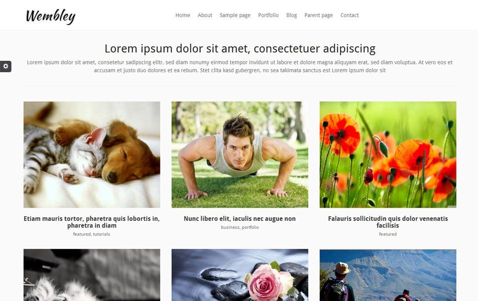 Wembley Free Photography WordPress Theme