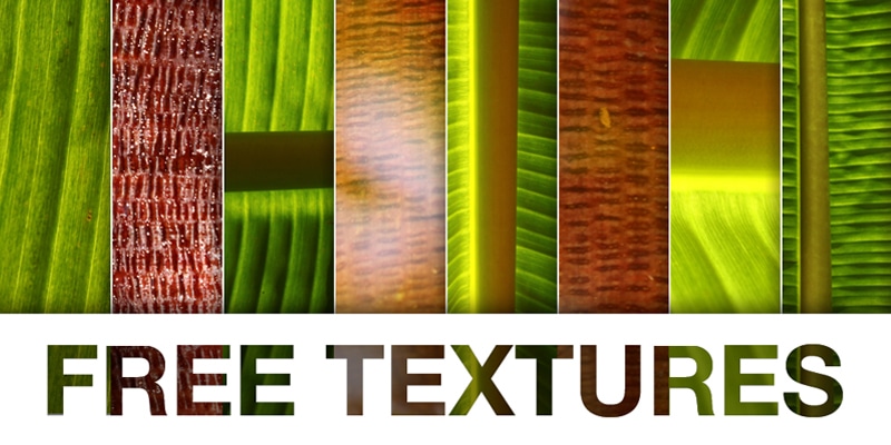 Bananic Free Texture